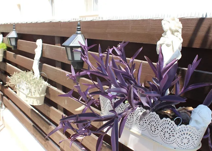 Ivoton Home