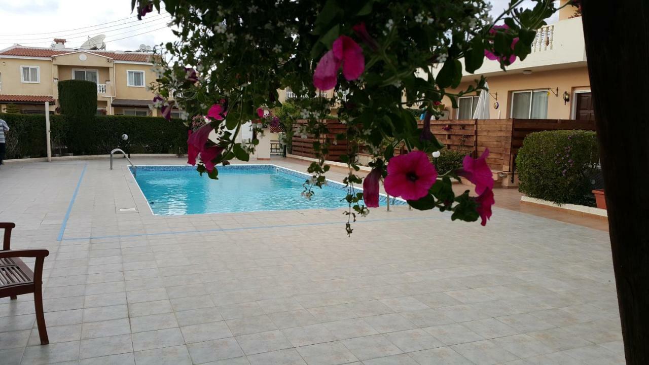 Ivoton * Paphos